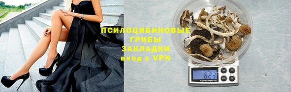 гашик Куйбышев