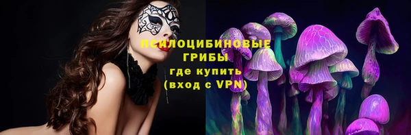 круглые Краснослободск