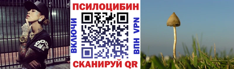 Купить где  Починок  Галлюциногенные грибы прущие грибы 
